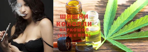 твердый Богородицк