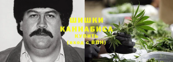 молекула духа Богородск