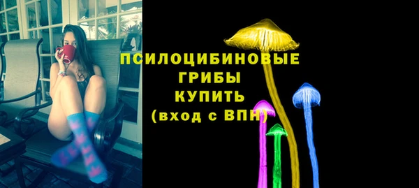 а пвп мука Богданович