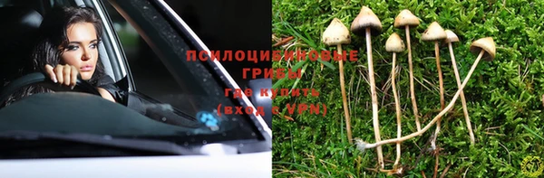 твердый Богородицк
