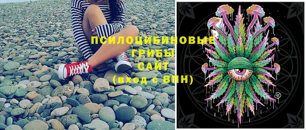 молекула духа Богородск