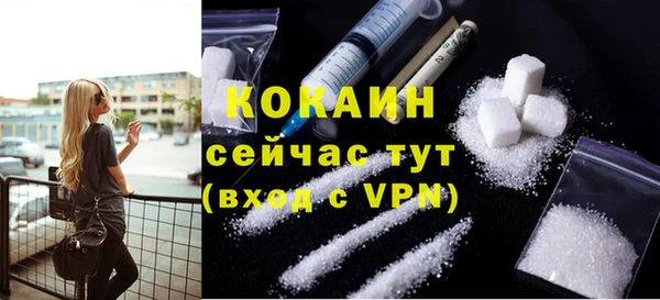 молекула духа Богородск