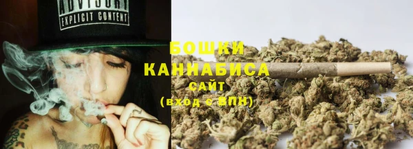 молекула духа Богородск