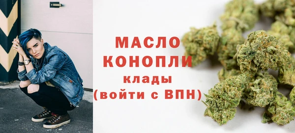 твердый Богородицк